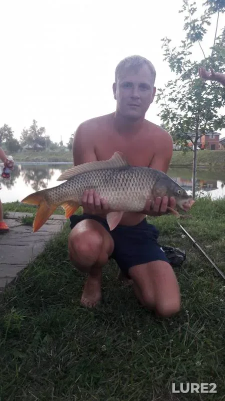 Карп