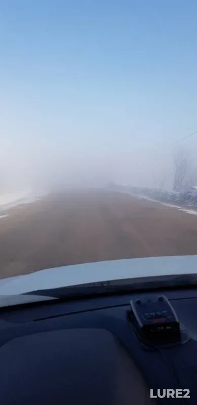 Лещ, Плотва