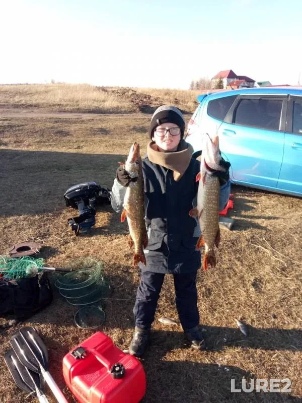 Щука