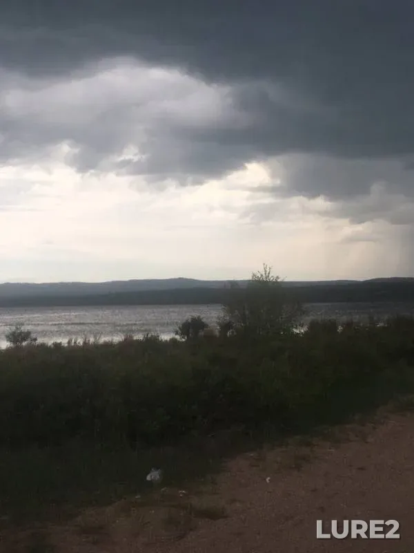 Окунь, Плотва