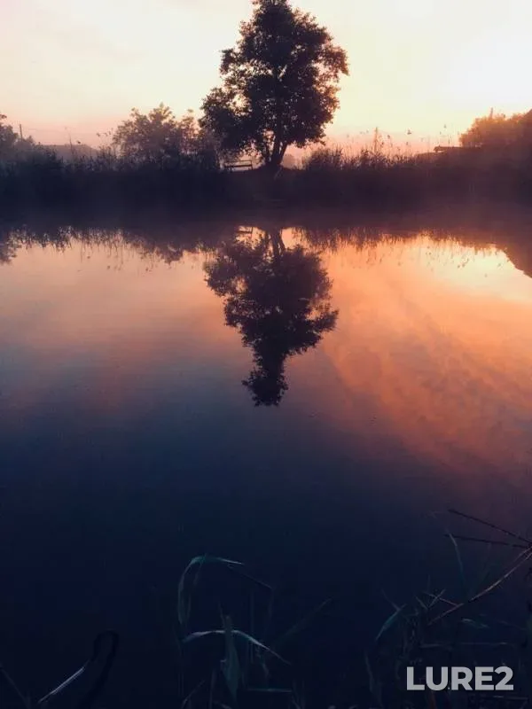 Лещ