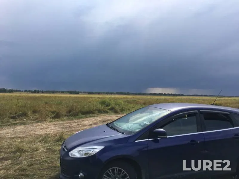 Карась, Щука