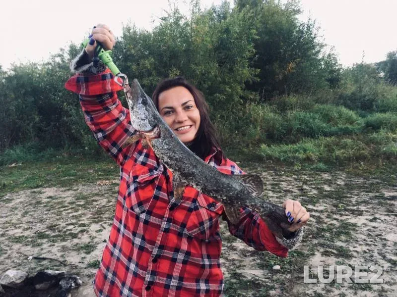 Щука