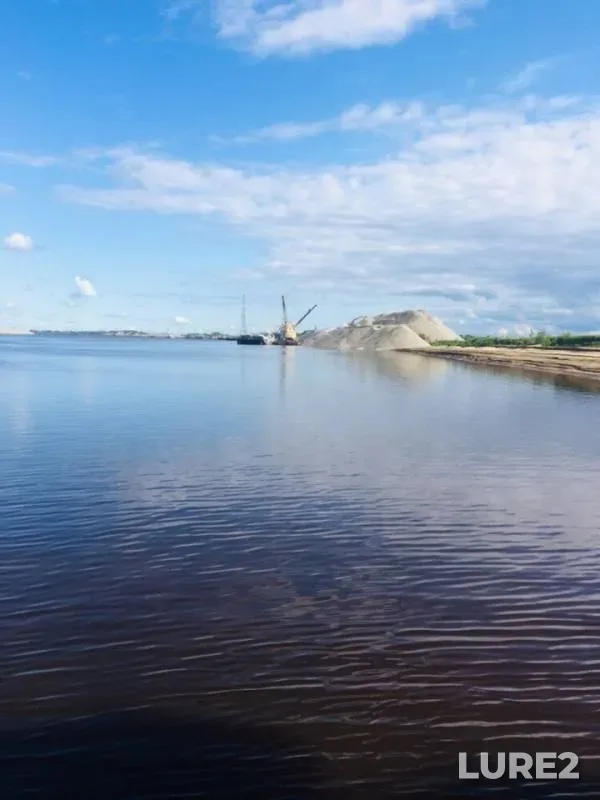 Окунь, Щука