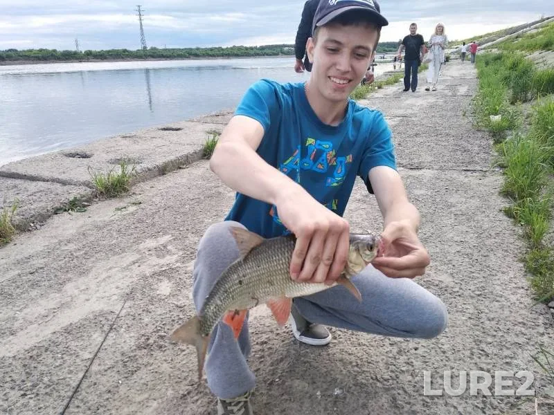 Язь