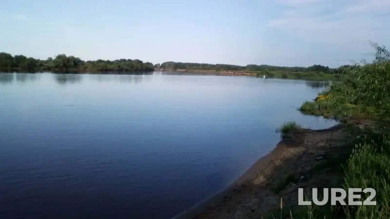 Окунь