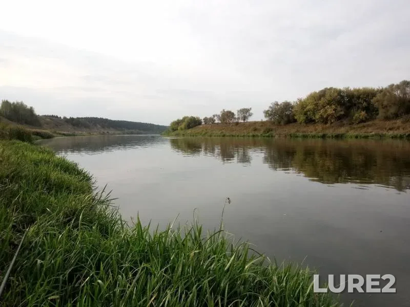 Лещ