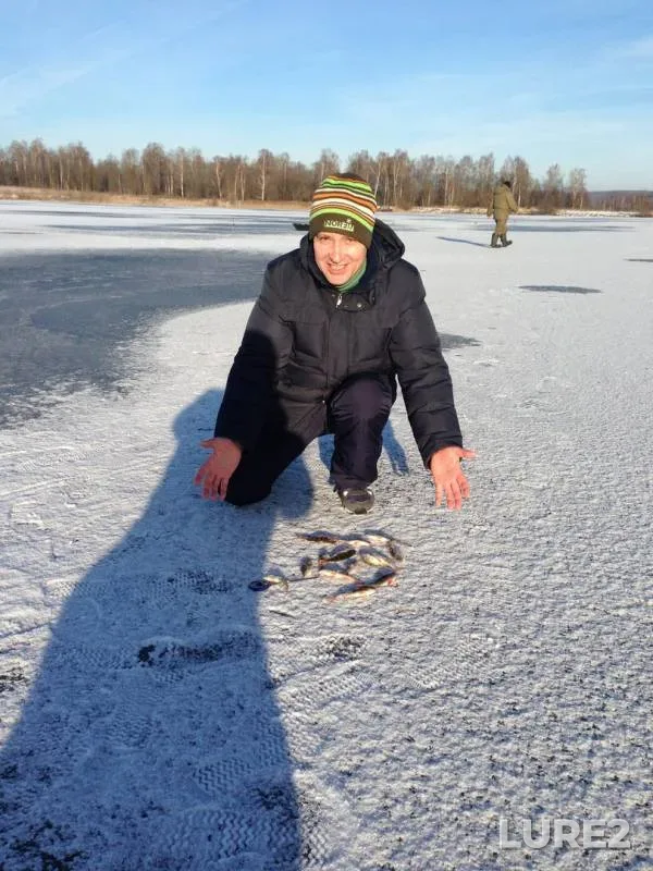Окунь