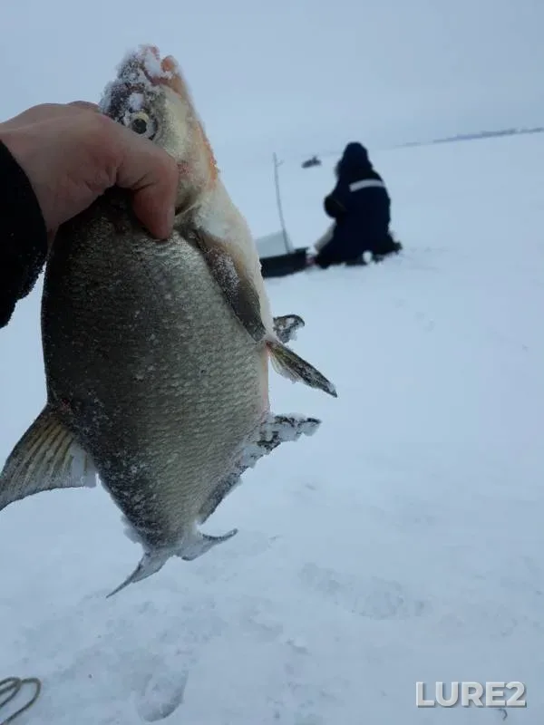 Лещ — Кама, 09 мар. 2019 г.