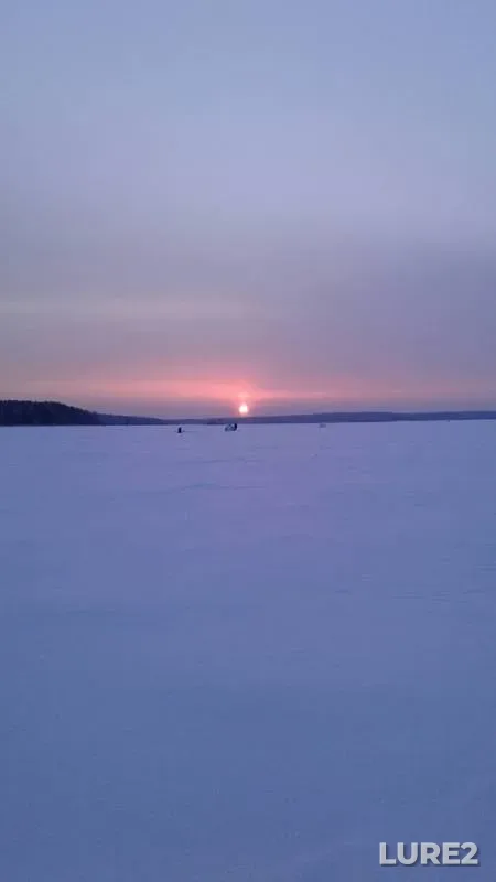 Окунь