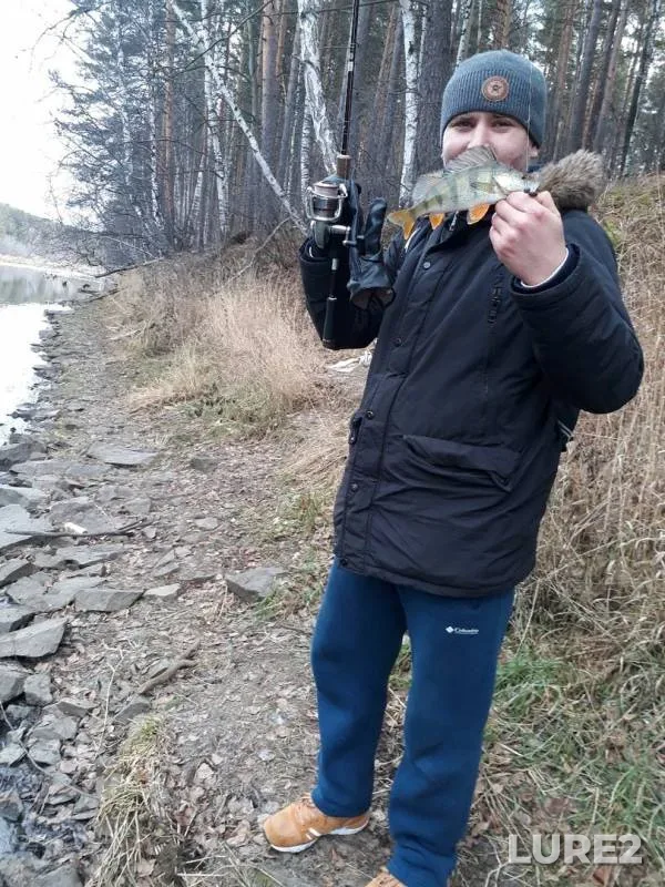 Окунь