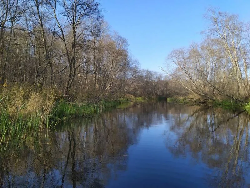 Окунь