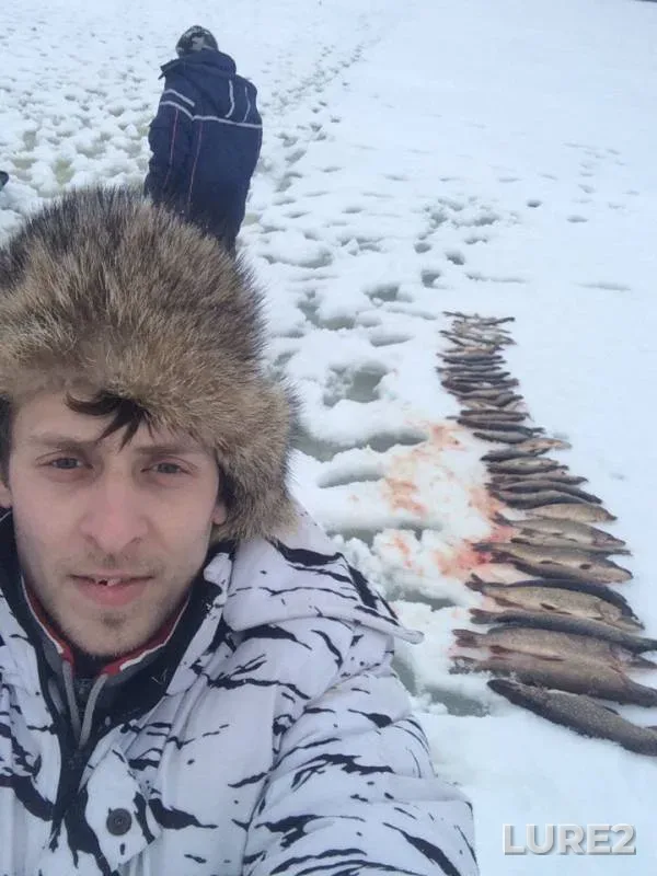 Щука