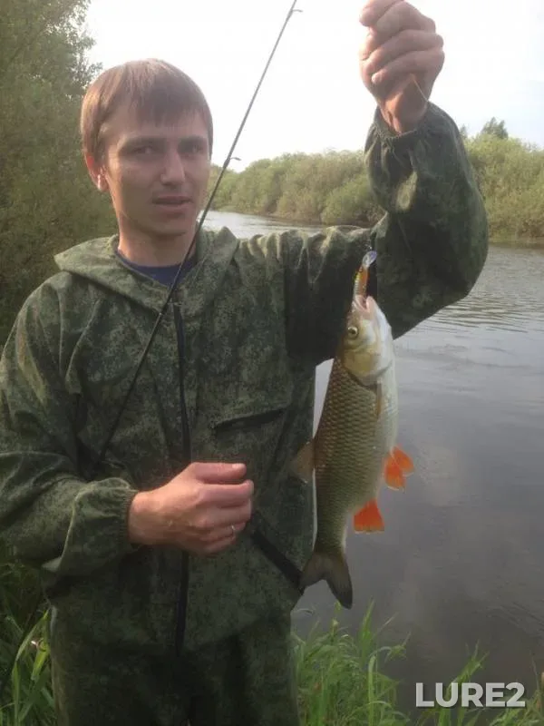 Голавль