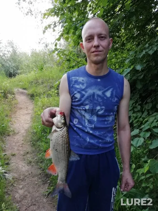 Голавль