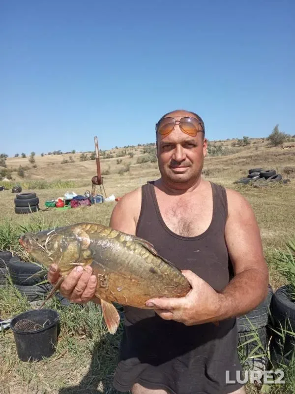 Карп