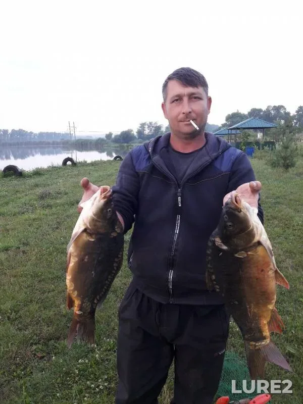 Карп