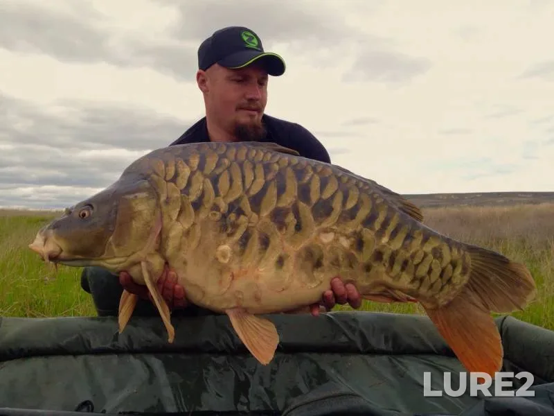 Карп