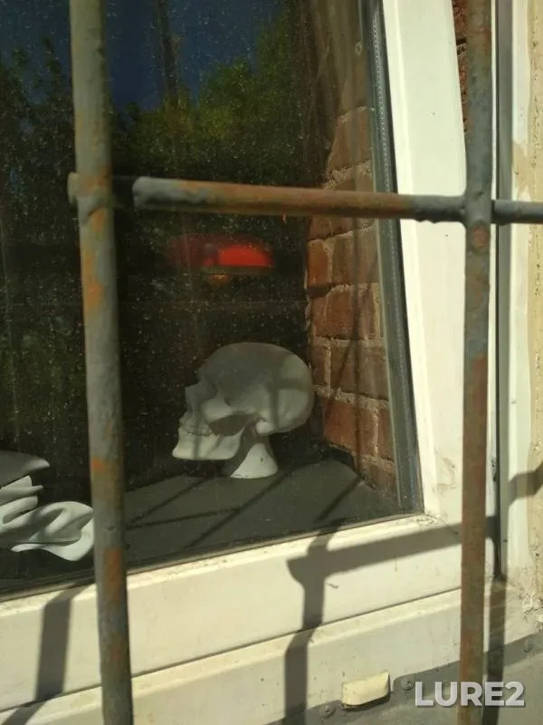 Окунь