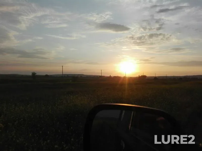 Лещ, Карась