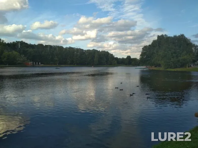 Окунь