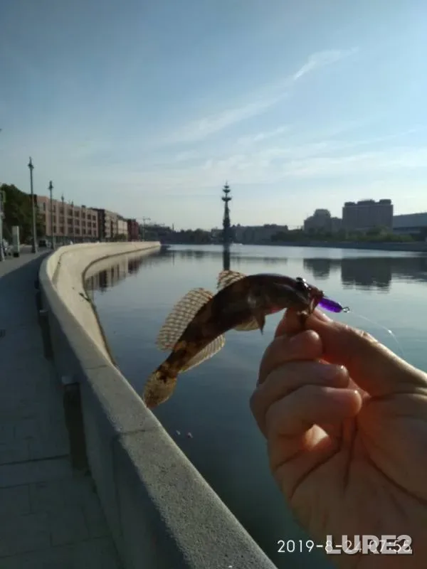 Окунь