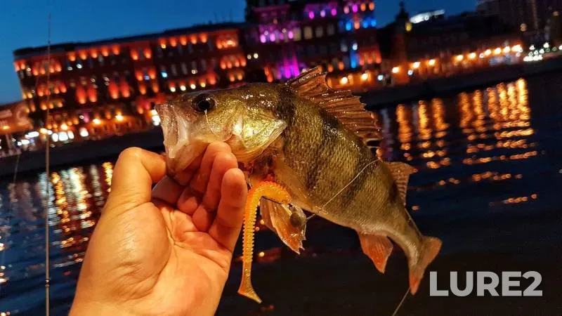 Окунь