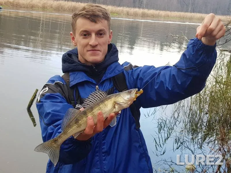 Судак — Свислочь, 07 нояб. 2019 г.