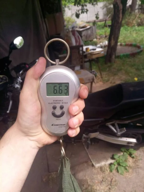 Щука