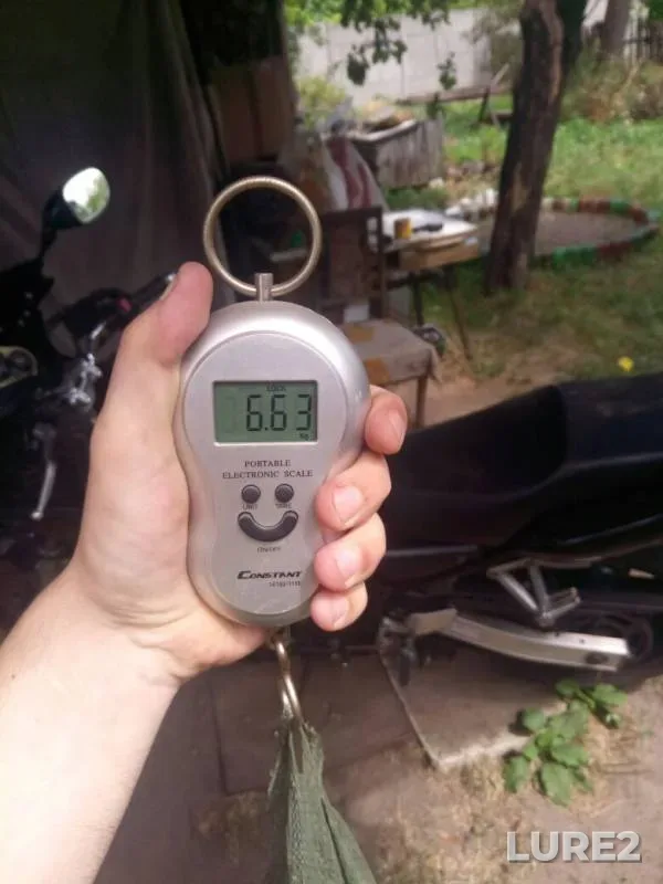 Щука — Березина, 09 июл. 2019 г.
