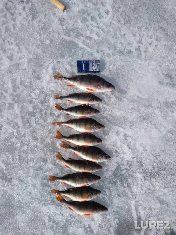 Окунь — Белоярское, 05 апр. 2019 г.