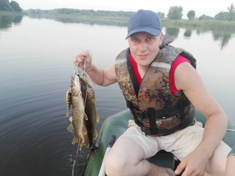 Окунь, Щука