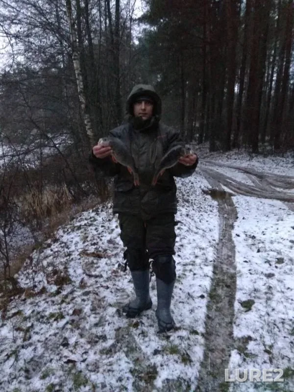 Окунь — Ляховичское водохранилище (Миничи), 09 дек. 2018 г.