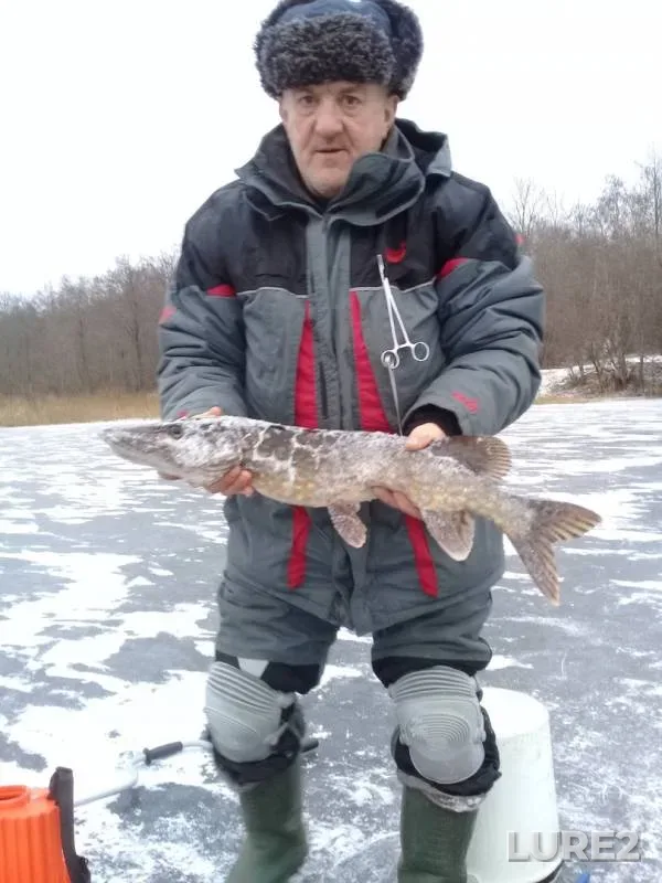 Щука — Зеха, 11 дек. 2018 г.
