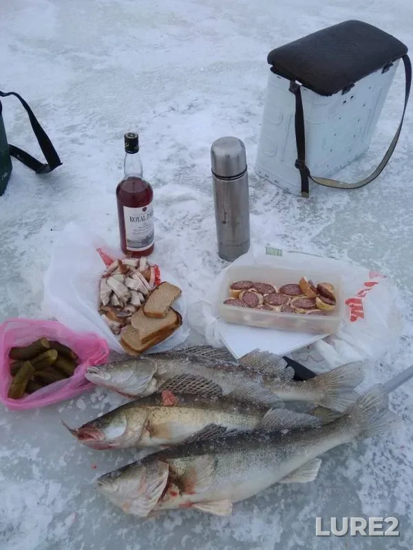 Судак — Лепельское, 22 янв. 2019 г.
