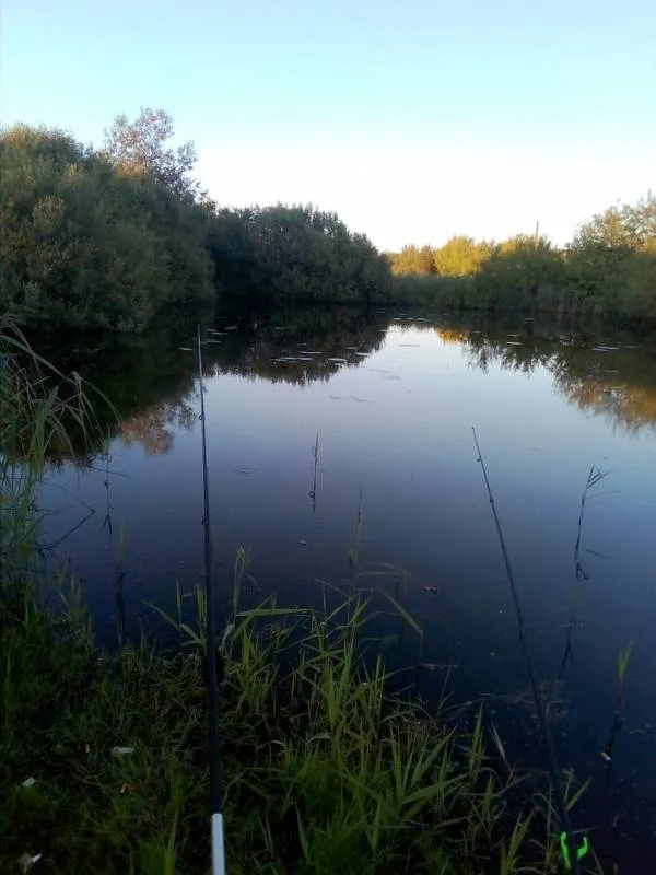 Карась