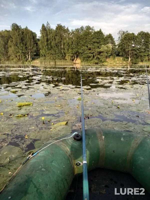 Карась — Мышанка, 15 июн. 2019 г.