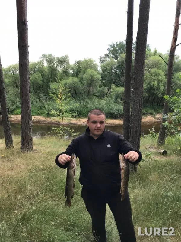Щука