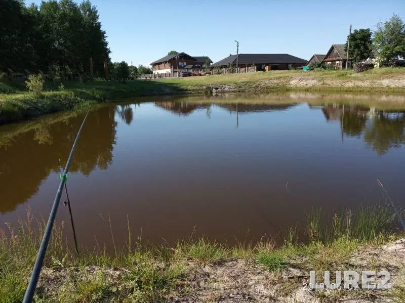 Карась, Линь — Льва, 02 июн. 2019 г.