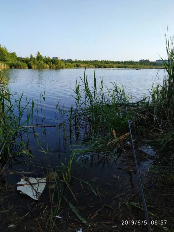 Карась