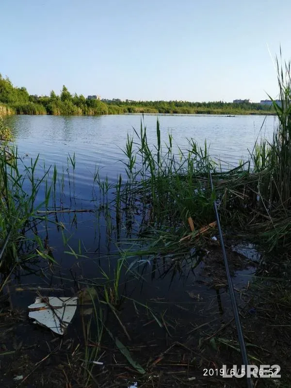 Карась — Жлобинское, 05 июн. 2019 г.
