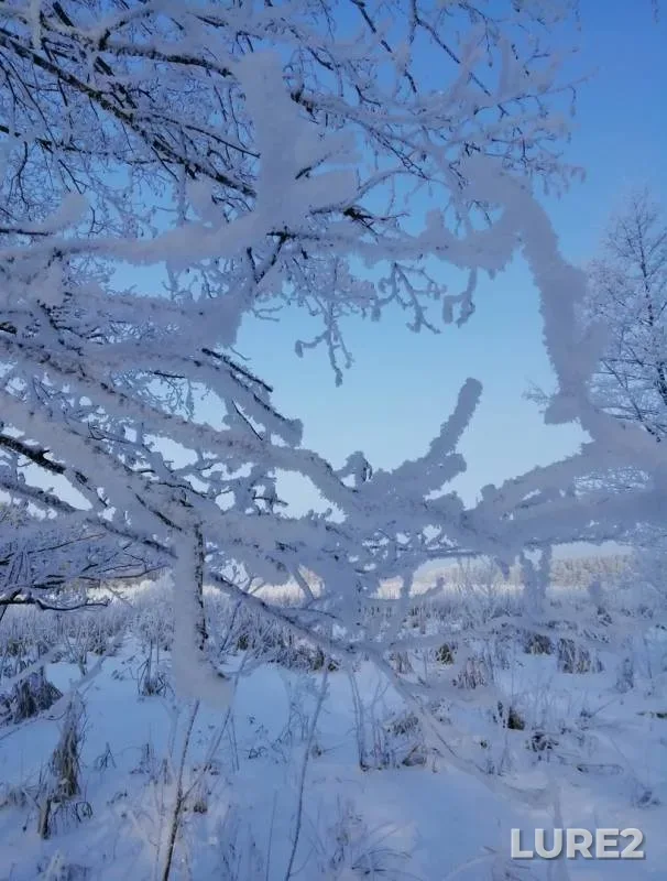 Щука — Россь, 30 янв. 2019 г.