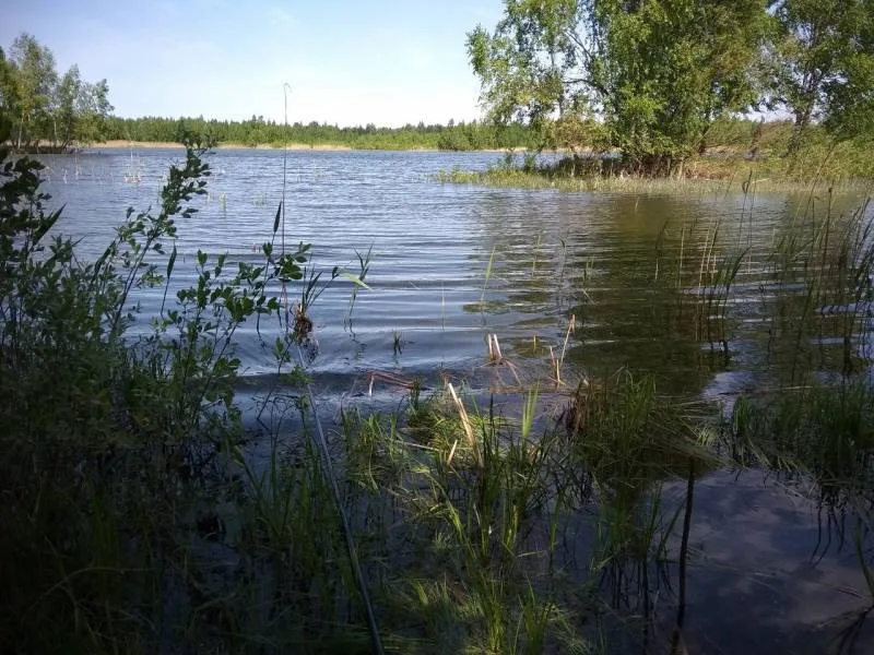 Лещ