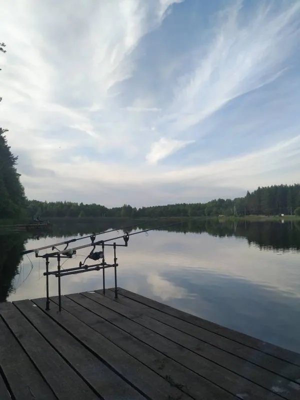 Карп, Линь