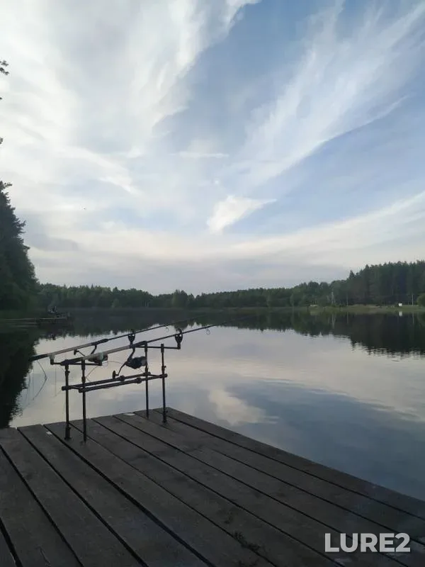 Карп, Линь — Корговица, 27 июн. 2019 г.