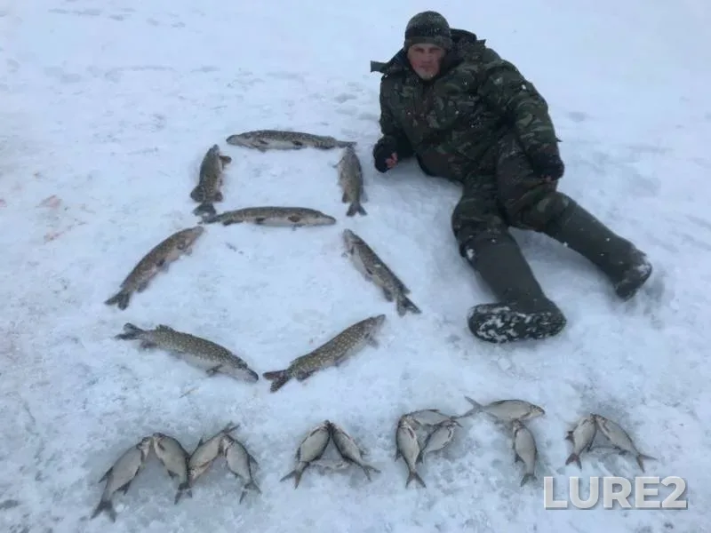 Лещ, Щука — Недрово, 08 мар. 2018 г.