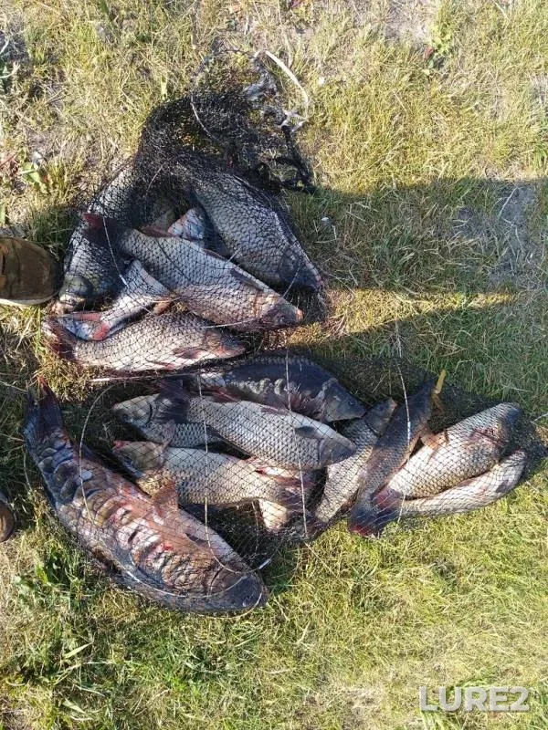 Карп — Выгонощанское, 10 июн. 2019 г.
