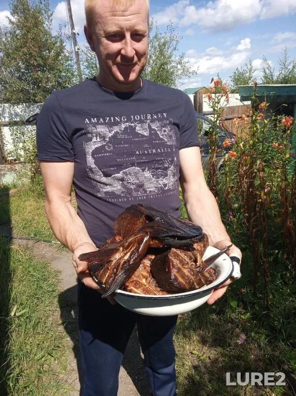 Щука