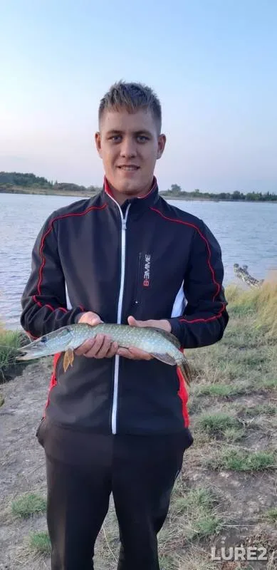 Щука