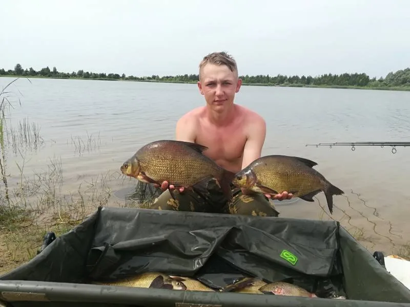 Лещ, Карась